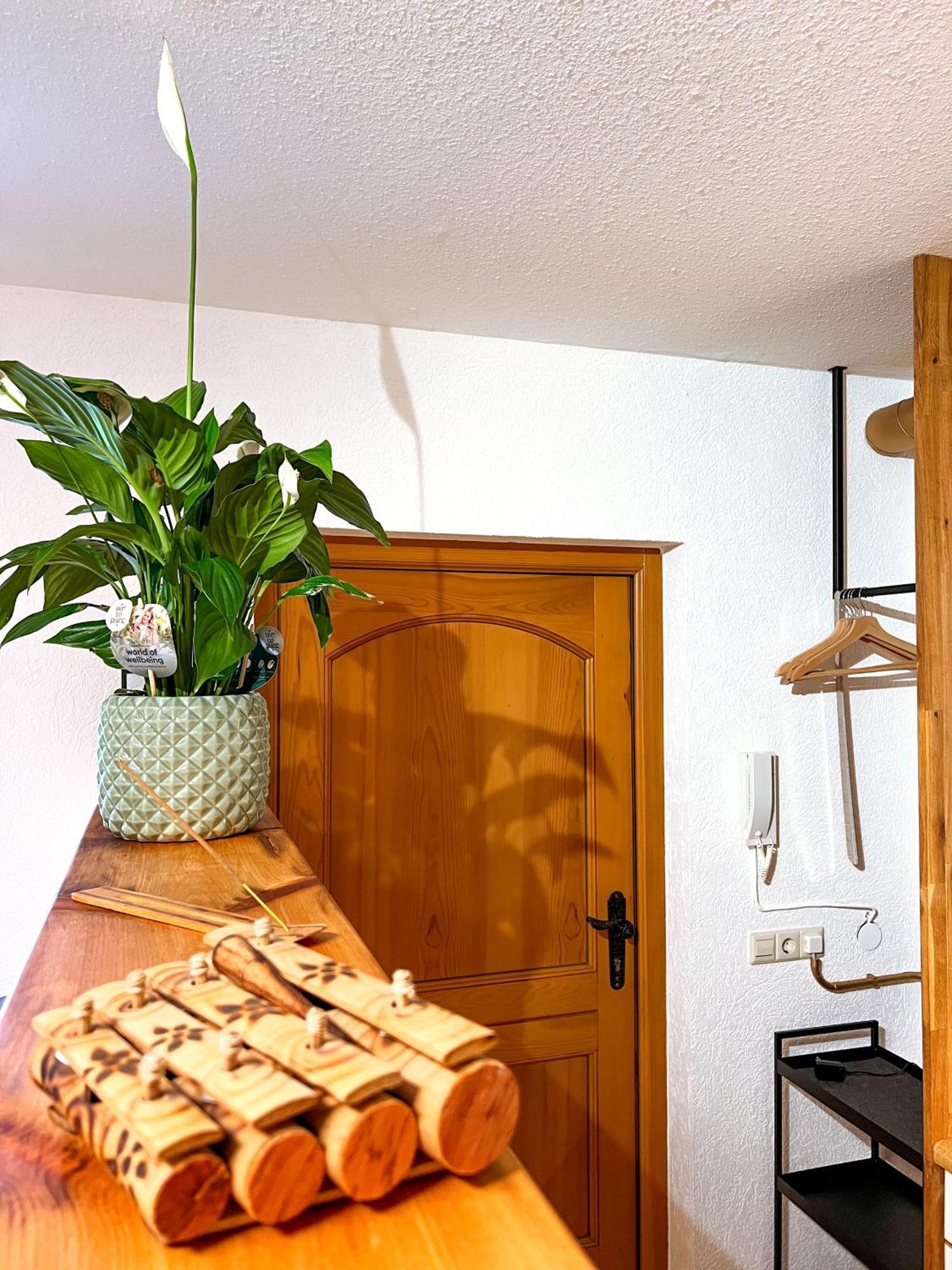 Apartmán Cozy Vibes Michelbach an Der Bilz Exteriér fotografie
